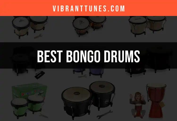 12 Bongo Drums You Need to Elevate Your Sound