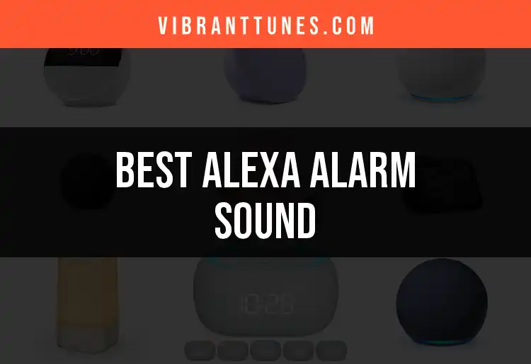12 Best Alexa Alarm Sounds for a Waking Delight